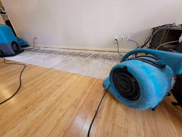 Professional Ceiling Water Damage Repair technician working in Walton, KY